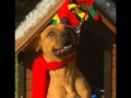 Babyface   I'll Be Home For Christmas  Free MP3 Download
