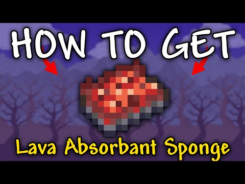 Lava Absorbant Sponge