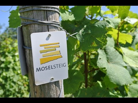 Mostelsteig - Etappe 4: Konz - Trier