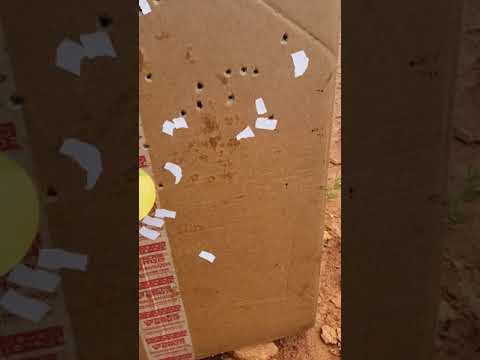 .31 cal single 0 in half cuts tps white lightning wad