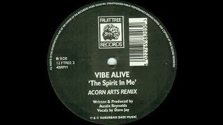 Vibe Alive   The Spirit In Me Acorn Arts Remix