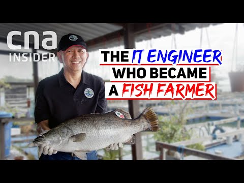 , title : 'When Traditional Fish Farming Gets Help From Science & Innovation In Singapore'