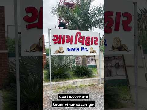 Gram vihar resort sasan Gir