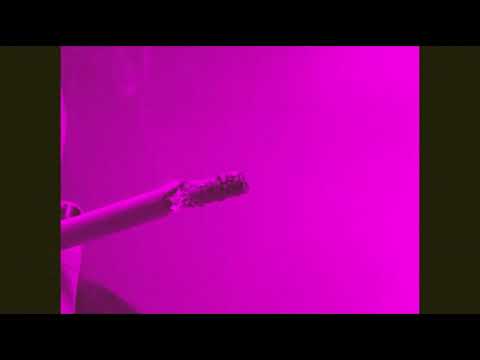 Łata - Przyzwyczajanie