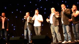 Voice male - True colors