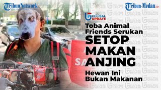Download lagu Toba Animal Friends Serukan Setop Makan Anjing, Hewan Ini Bukan Makanan | GLOBAL UPDATE mp3