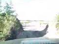 Gui Boratto - Scene 1