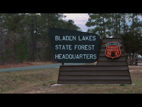 The Arbor Day Foundation and #TeamTrees Planting: Bladen Lakes State Forest