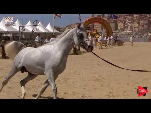 N.142 BEBARS AL FARIDA - Menton 2019