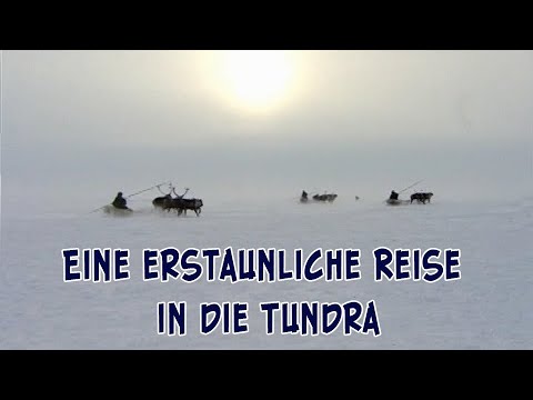 Russland. Eine erstaunliche Reise in die Tundra
