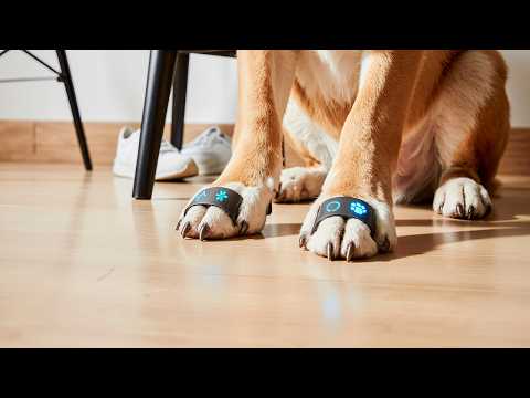 125 Incredible Amazon Pet Products Every Owner Should See