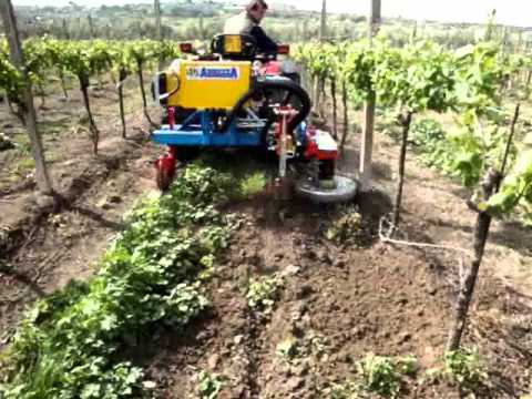 Attrezzatura per vigne con scalzatore rotativo interceppo dx modello EXPO SINGOLO R TOP