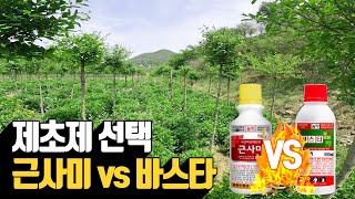 나무농장 제초제 선택 근사미 vs 바스타 | 나무대장