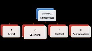 Vitaminas liposolubles: Vitamina D