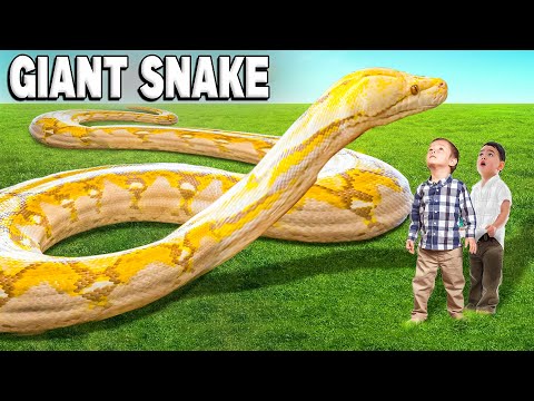 Kid vs 20 Foot Giant Snake!