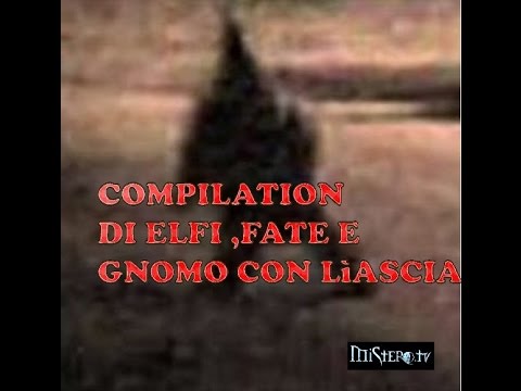 LO GNOMO ARMATO D' ASCIA "COMPILATION ELFI, FATE E GNOMO'"