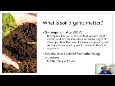 Soil Organic Matter