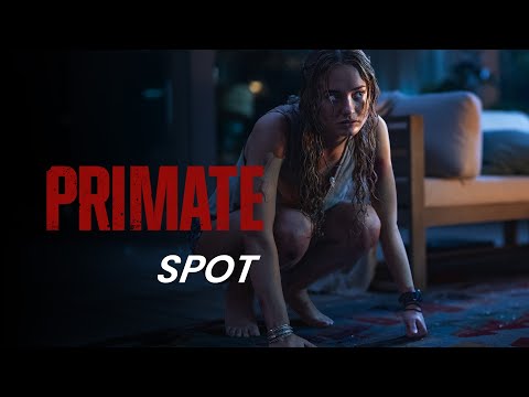 PRIMATE | Escape | Kinostart: ab 29.1.