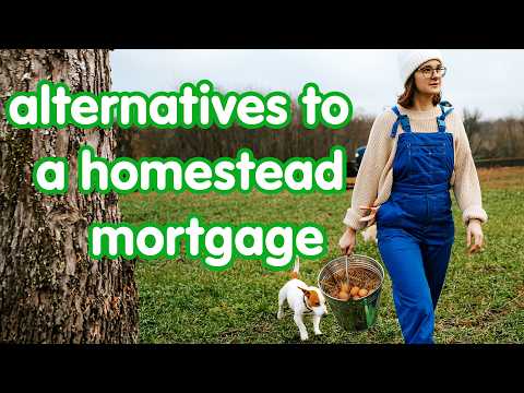 Homestead Funding: Mortgage Alternatives Explored