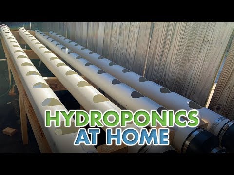 , title : 'Hydroponics at Home