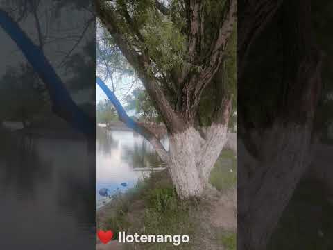 Nuestro paso por laguna Las Garzas #parque #playa #aventura