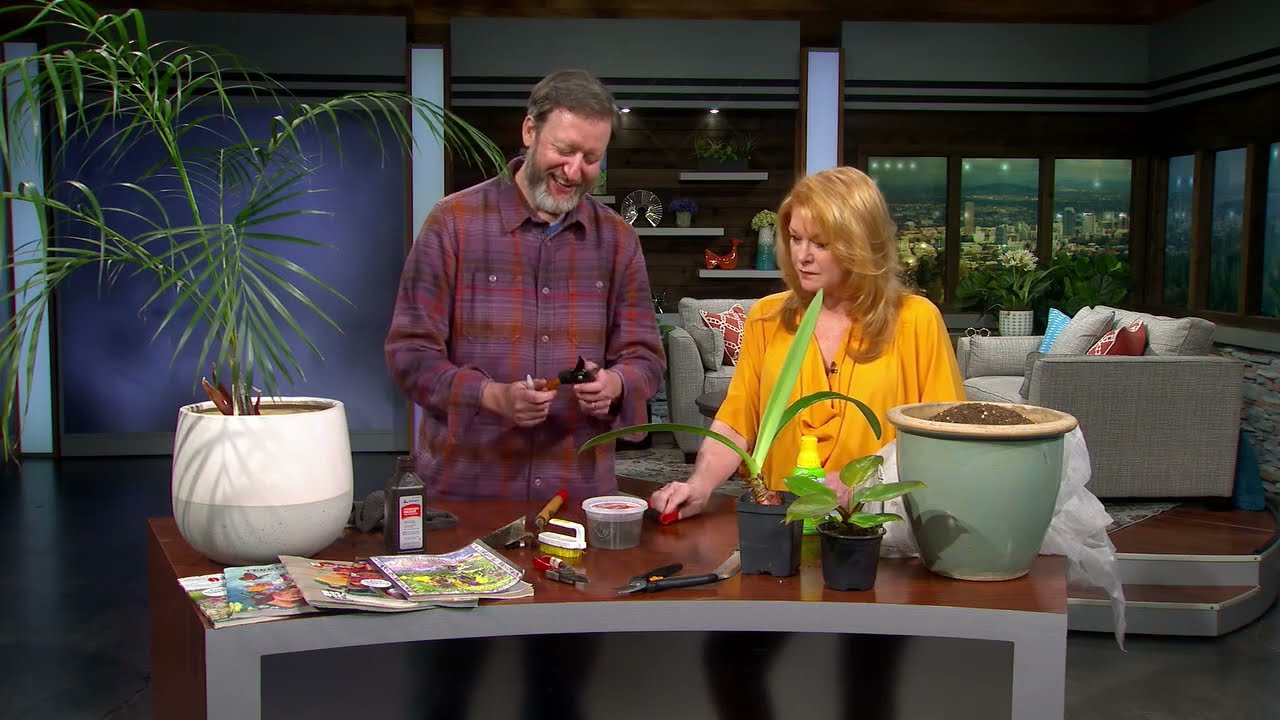 YouTube Video Thumbnail