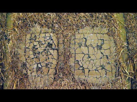 Strawbale Vlog 37 -  odporność ściany słomianej i rozbijanie próbek glinianych
