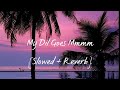 My Dil Goes Mmmm Slowed Reverb Salaam Namaste Vishal Shekhar Shaan Gayatri Iyer