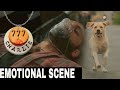 777 Charlie movie Emotional scene telugu || Telugu movies 2022