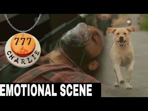 Thumbnail of the video: 777 Charlie movie Emotional scene telugu || Telugu movies 2022