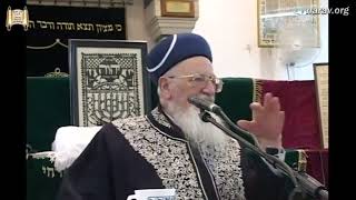 הלכות תשעת הימים ותשעה באב שחל במוצאי שבת - מנחת יהודה  - מרן הרב מרדכי אליהו (הרב מרדכי אליהו זצ"ל) - התמונה מוצגת ישירות מתוך אתר האינטרנט יוטיוב. זכויות היוצרים בתמונה שייכות ליוצרה. קישור קרדיט למקור התוכן נמצא בתוך דף הסרטון