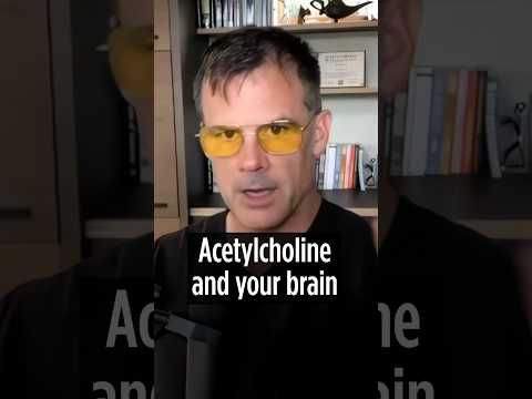Acetylcholin und Ihr Gehirn 🧠