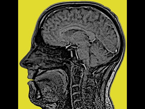 Cylob and DJ Scotch Egg - Live @ Glade Festival - BBC Breezeblock