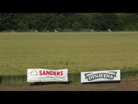 Trka "Državno prvenstvo za grla od 3-15. godina” 20.06.2021 Iago d'Amore - Dejan Katanić