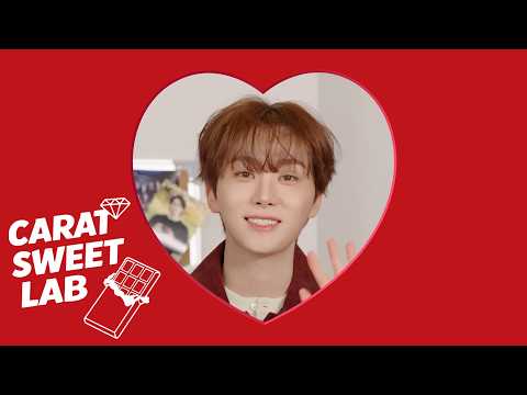 💎HAPPY 10th CARAT DAY : CARAT SWEET LAB💎