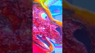 Download lagu Buddy song scene I hate Buddy scene #buddymovie mp3