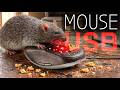 Come Prendere Un Topo Con Un Sensore Del Mouse Desktop