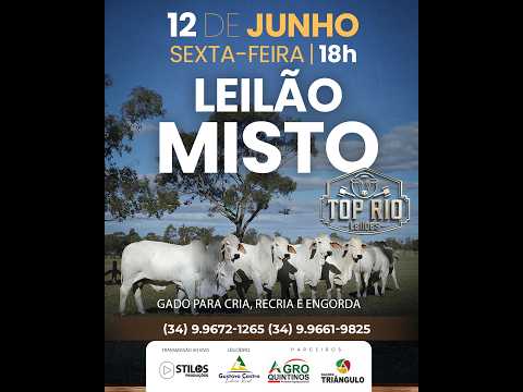 LEILÃO MISTO 12/06/2026 - TOP RIO LEILÕES - RIO PARANAÍBA-MG