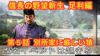 #05  実況 信長の野望新生PKCE 足利編【義輝(義藤)・義晴】シーズン7