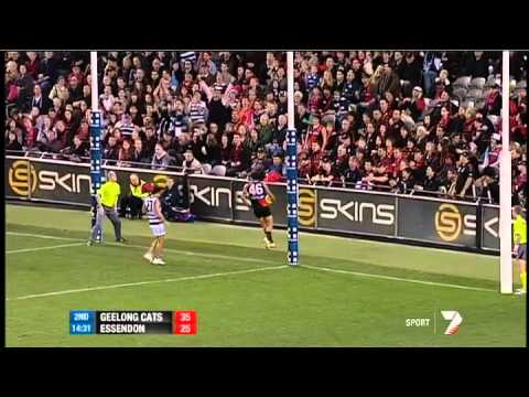 Round 17 AFL - Geelong v Essendon highlights