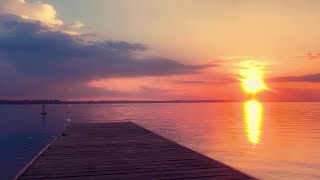 Tranquil Escape - Swimming Fish and Serene Beach Scenes | 7+Minute Relaxation Video