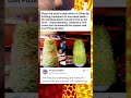 Pizza Hut Tried To Play Smart In China By Limiting Customers To One Salad Plate But Chinese Diners
