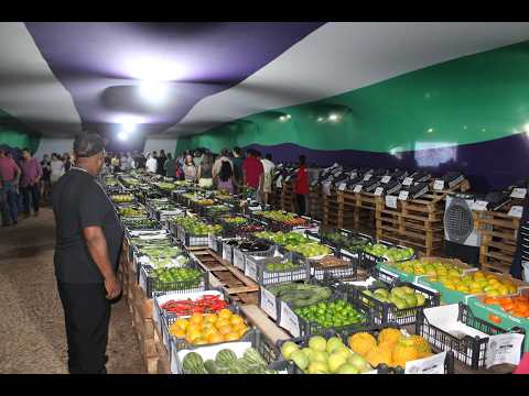 Tradição e solidariedade marcam a 15ª edição da Feira da Uva e da Agricultura Familiar em Jales/SP