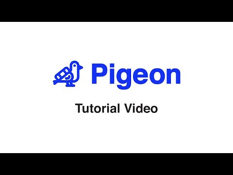 Video Image