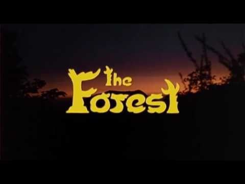The Forest