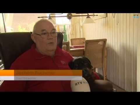 Hondenhater Purmerend verspreidt knakworst met weerhaakjes