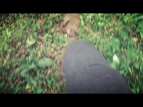 HD|Gopro nature kerala