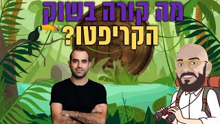 מה קורה בקריפטוגונגל
