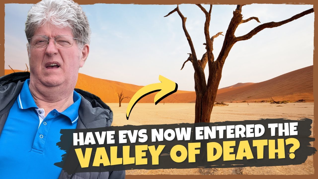 Have EVs Entered The 'Valley Of Death' Phase?