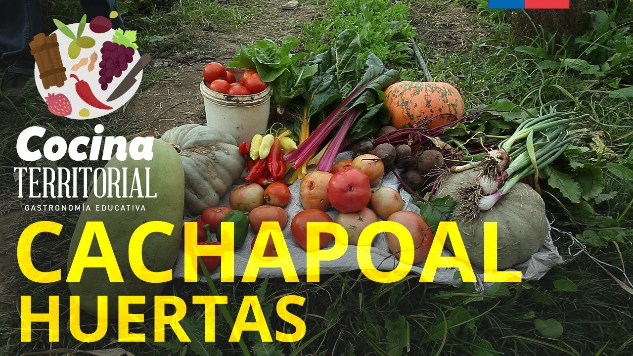 Capítulo 6: Huertas Biodiversas de Cachapoal - Cocina Territorial